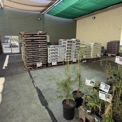 San Carlos ACE Hardware