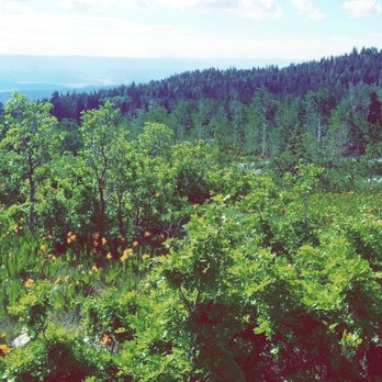 Blackhawk Campground - Campgrounds Near Me