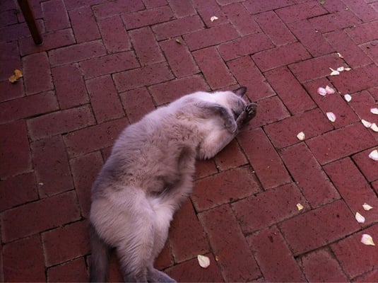 Fall Creek Vineyards - Tow by null