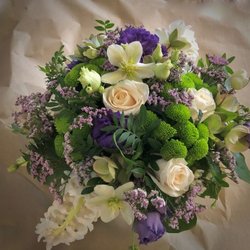 Blumen Engelmann