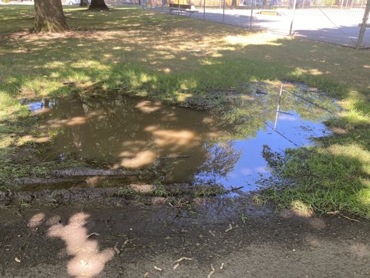 Glenwood Park by null