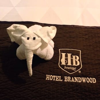 Brand Plaza Hotel - The cleaning ladies left this only bed. Made my day! - Hotels Near Me - Glendale, California Brand Plaza Hotel - The cleaning ladies left this only bed. Made my day! - Hotels Near Me - Glendale, California