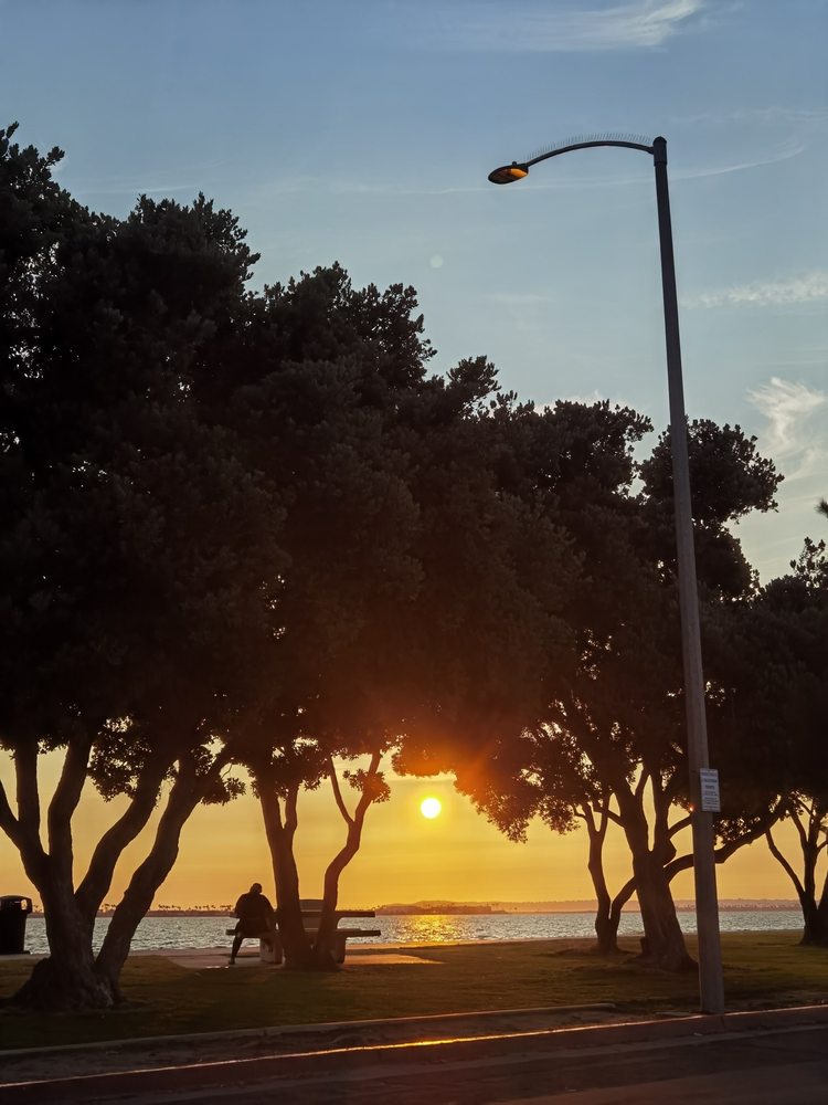 Bayfront Park Logo