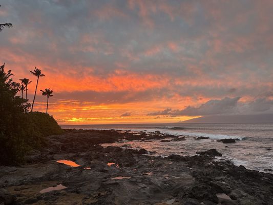 Napili Bay by null