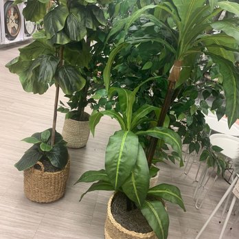 Burlington - Faux trees - Department Stores Near Me - Brooklyn, New York
