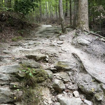 Raven Rock State Park - Hiking trail - Parks Near Me - Lillington, North Carolina Raven Rock State Park - Hiking trail - Parks Near Me - Lillington, North Carolina