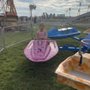 Photo of Montgomery County Fair