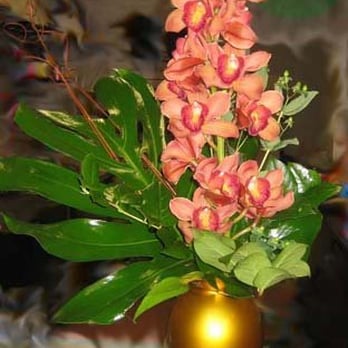Victoria Flower - Florists Near Me - Philadelphia, Pennsylvania Victoria Flower - Florists Near Me - Philadelphia, Pennsylvania