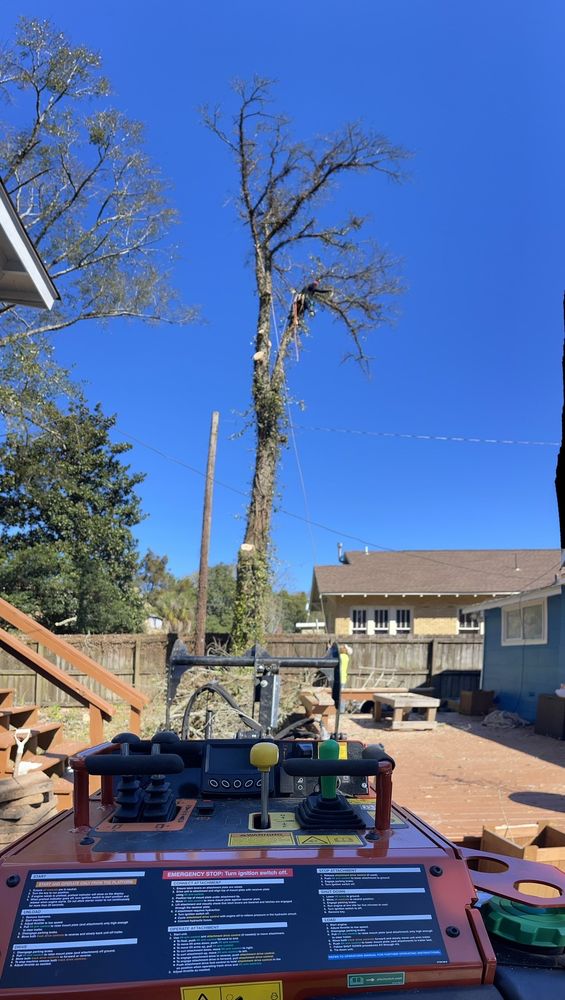 Brothers Tree Service - tree service in Birmingham, AL