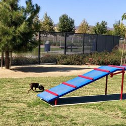 Heroes Dog Park - Kona @ her favorite dog park