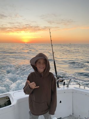 Cabo Adventures by null