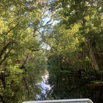 Airboat and Gator Charters - Fishing Near Me - Deleon Springs, Florida Airboat and Gator Charters - Fishing Near Me - Deleon Springs, Florida