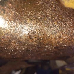 Rosewood Auto Service Inc - Hole rusted in oil pan on recently replaced engine