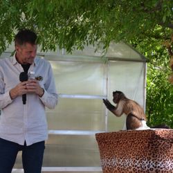 Monkey Business Productions