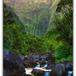 aFeinberg Gallery - "Aglow" - Wai'ale'ale, Kaua'i, Hawai'i
