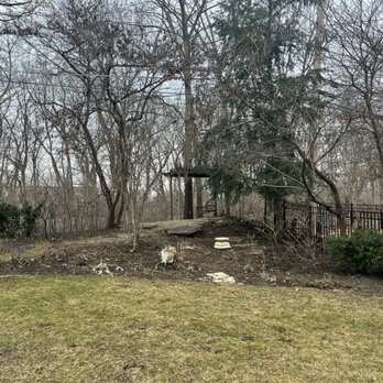 Federicos Landscaping - After picture of spring clean up - Landscaping Near Me - Carpentersville, Illinois Federicos Landscaping - After picture of spring clean up - Landscaping Near Me - Carpentersville, Illinois