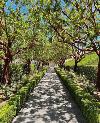 The Spa at Rancho Bernardo Inn by null