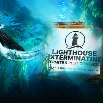 Lighthouse Exterminating - Logo - Pest Control Near Me Lighthouse Exterminating - Logo - Pest Control Near Me