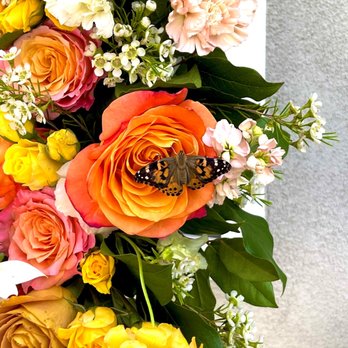 Bella Blooms - Florists Near Me - Anaheim, California