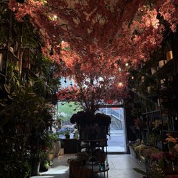 Flower area