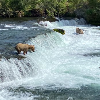 Katmai Air Service - Brooks Falls - Aerial Tours Near Me - Anchorage, Alaska Katmai Air Service - Brooks Falls - Aerial Tours Near Me - Anchorage, Alaska