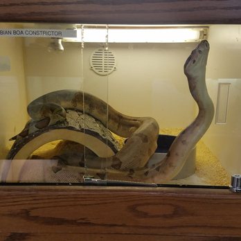 East Bay Vivarium - Reptile Shops Near Me - Berkeley, California