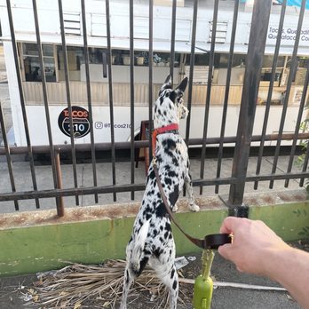 Tacos 210 - The truck - Food Trucks Near Me - Altadena, California Tacos 210 - The truck - Food Trucks Near Me - Altadena, California