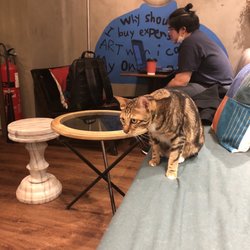Mamaday - Cats and decor