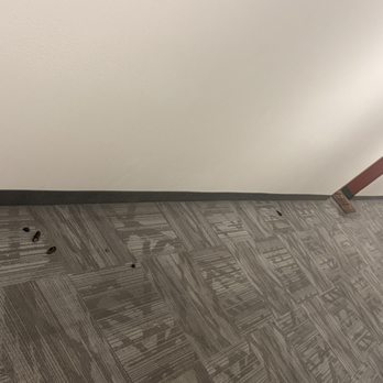 Abode Red Rock Apartments - Dog poop in hallways - Apartments Near Me - Las Vegas, Nevada