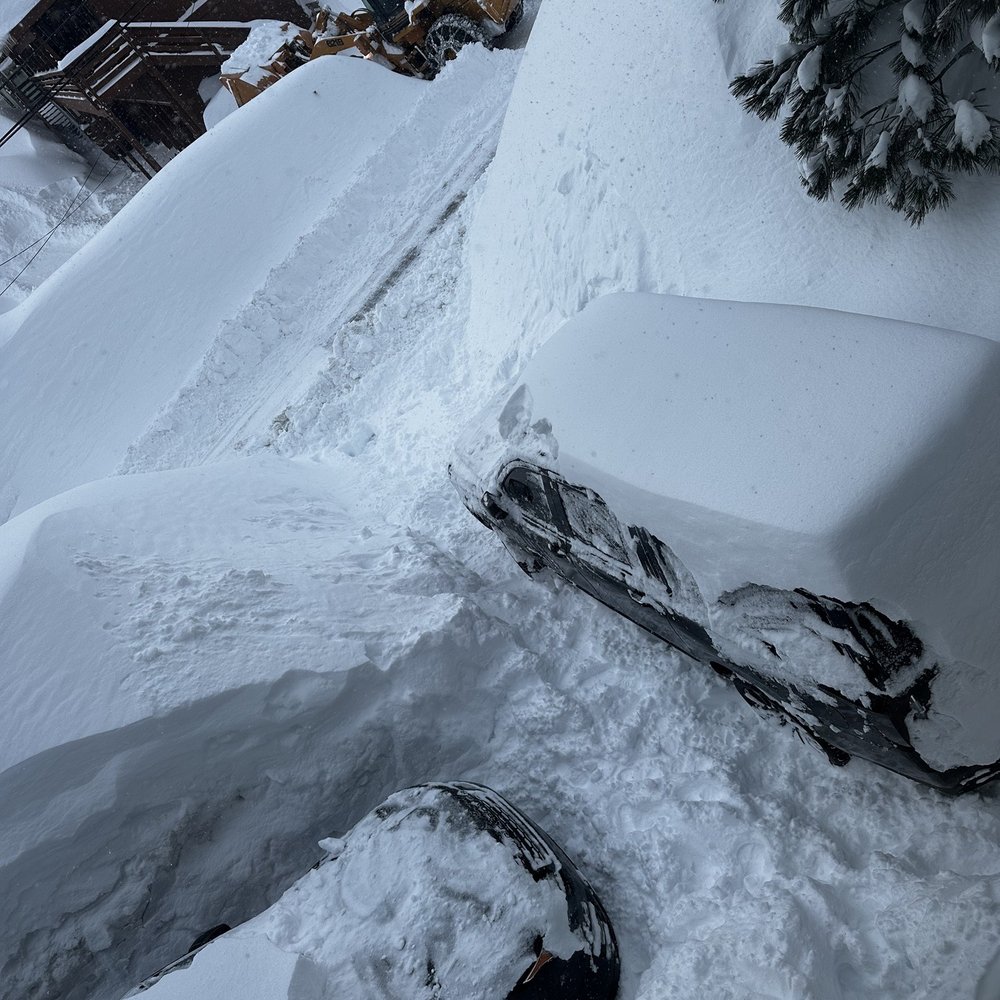 Nomadness Rentals - Snowed in driveway we only had 3 shovels to get us out - Vacation Rentals Near Me - Mammoth Lakes, California Nomadness Rentals - Snowed in driveway we only had 3 shovels to get us out - Vacation Rentals Near Me - Mammoth Lakes, California