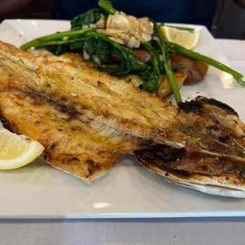 Campino Restaurant - Branzino fish - Portuguese Near Me - Newark, New Jersey Campino Restaurant - Branzino fish - Portuguese Near Me - Newark, New Jersey
