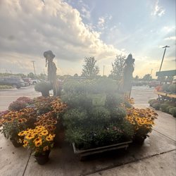 Wegmans