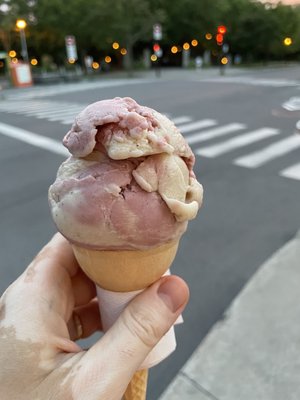 Les Tropiques by null