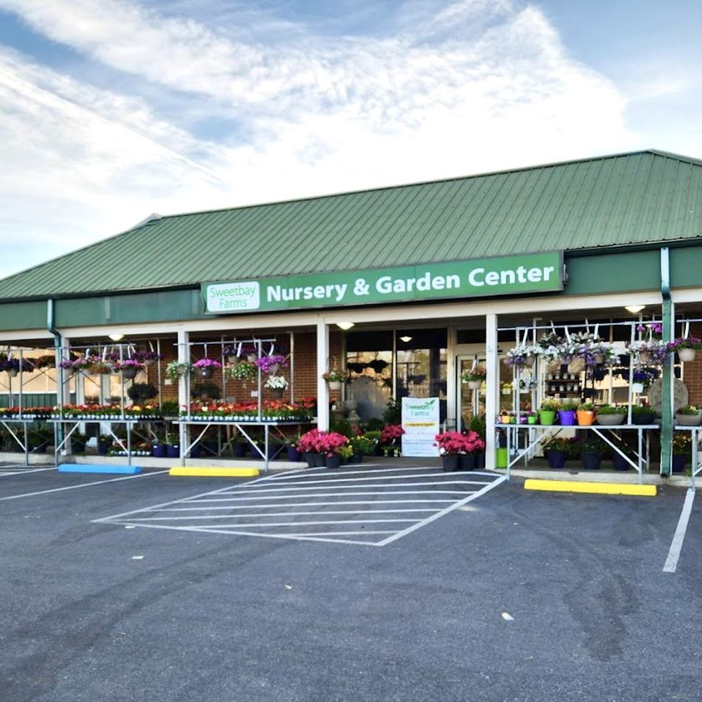 TOP 10 BEST Unique Gift Stores in Westminster, MD - Updated 2025 - Yelp, image size:1000x1000