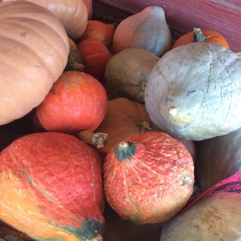 Terhune Orchards - Fruits & Veggies Near Me - Princeton, New Jersey Terhune Orchards - Fruits & Veggies Near Me - Princeton, New Jersey