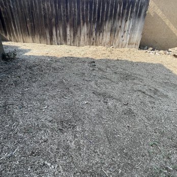 Los Alamitos Tree Service - The after ... tree removal and stump grinding - Tree Services Near Me Los Alamitos Tree Service - The after ... tree removal and stump grinding - Tree Services Near Me