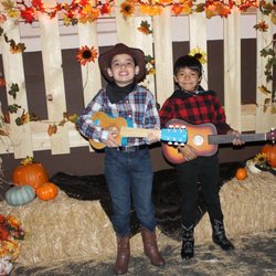 Harvest Festival 2019