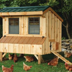 Garden Time Outdoor Structures - Chicken coop