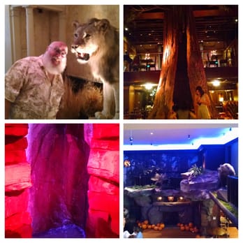 Clifton's Republic - Lions and redwoods and waterfalls, oh my! - Bars Near Me - Los Angeles, California