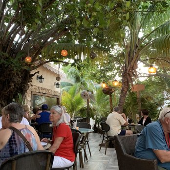 North Garden - Signature Cuisine Near Me - Cancún, ROO North Garden - Signature Cuisine Near Me - Cancún, ROO