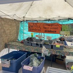 Heirloom Farmers Market - Udall Park