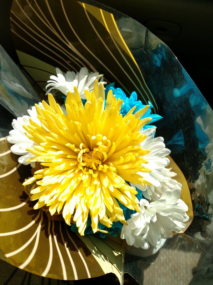 MARTIN’S Updated August 2024 806 Logan Blvd, Altoona, Pennsylvania