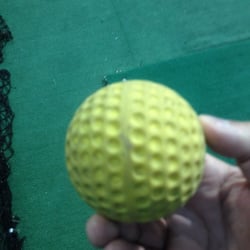 Cover All Bases - Ball from batting cage