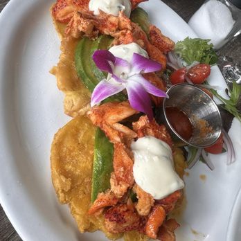 Bistro Cafe - Must have Lobster tostones - Breakfast & Brunch Near Me - Miami, Florida Bistro Cafe - Must have Lobster tostones - Breakfast & Brunch Near Me - Miami, Florida