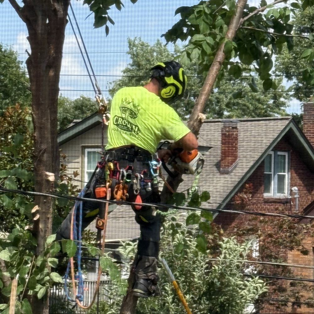 Crown Tree Service - Tree Services Near Me Crown Tree Service - Tree Services Near Me