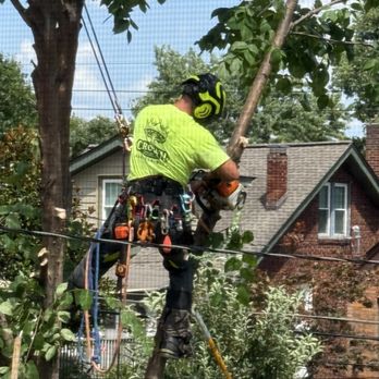 Crown Tree Service - Tree Services Near Me