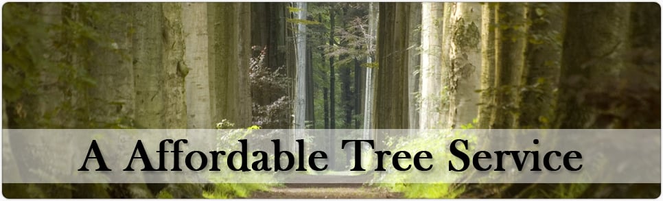 A Affordable Tree Service - tree service in Newport News, VA