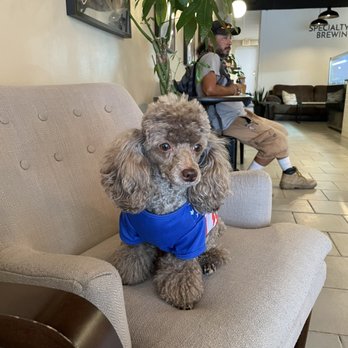 Caffeine Roasters - Paris favorite coffee shop - Coffee & Tea Near Me - Tampa, Florida