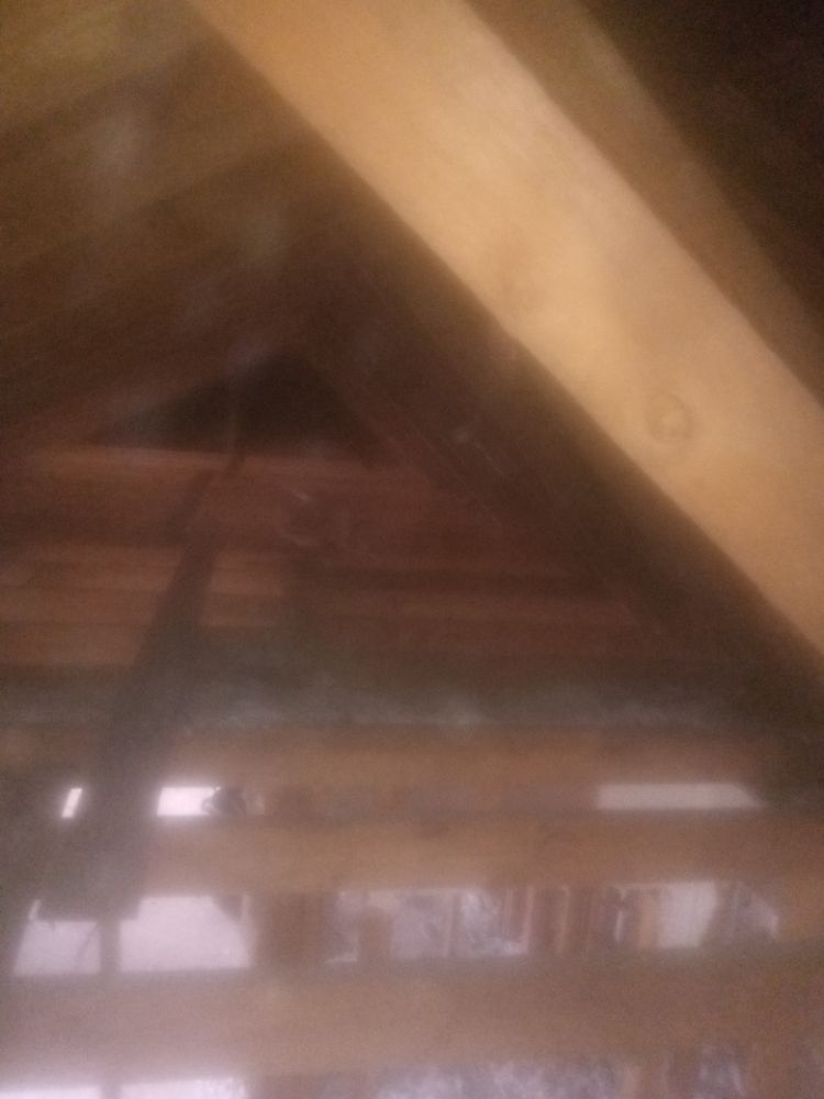 Slide of Affordable Lawn Care & More