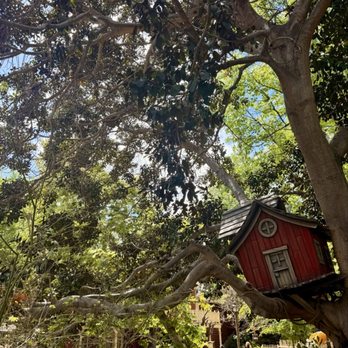 Bayou Country - Amusement Parks Near Me - Anaheim, California